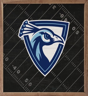 Black Football Field Upper Iowa University